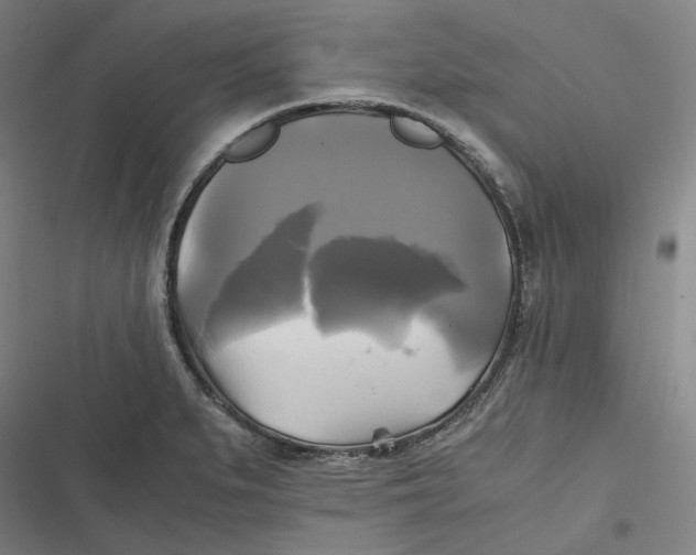 X0000116801279201001081327