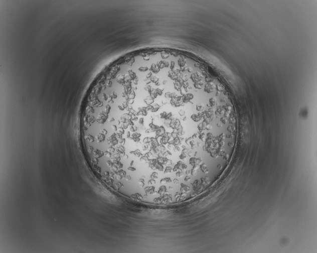 X0000116801280201001081327