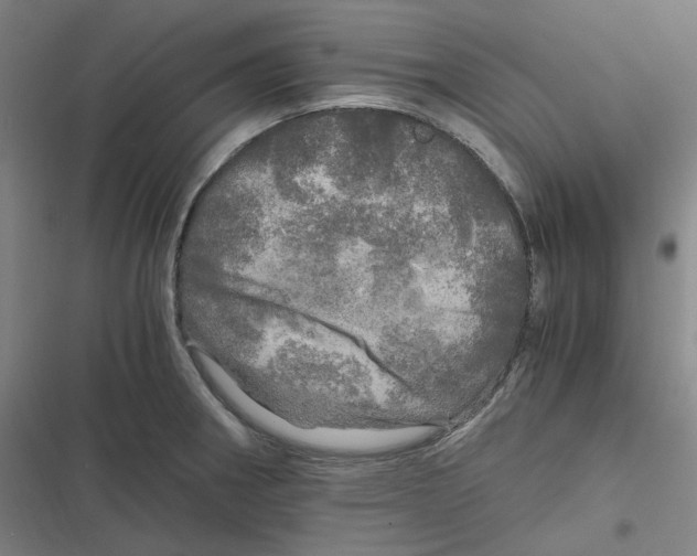 X0000116801282201001081327