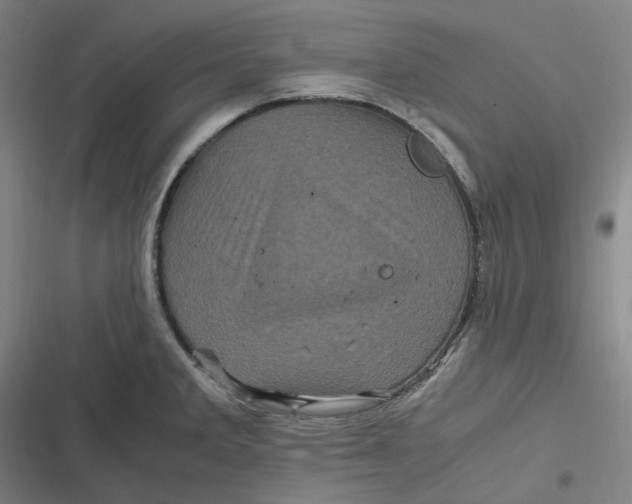 X0000116801285201001081327