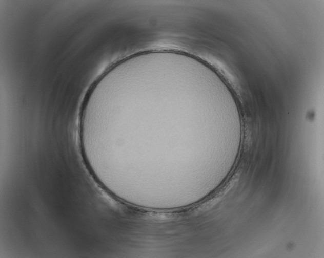 X0000116801286201001081327