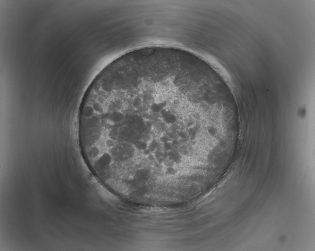 X0000116801287201001081327