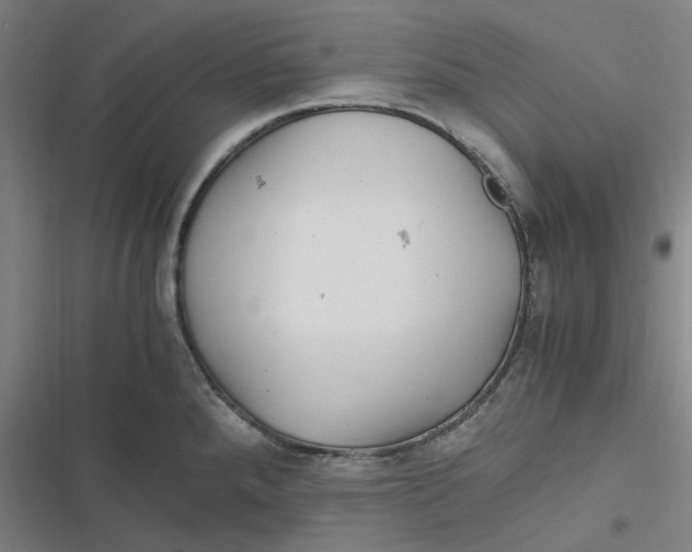 X0000116801288201001081327