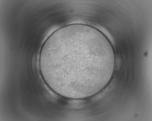 X0000116801290201001081326