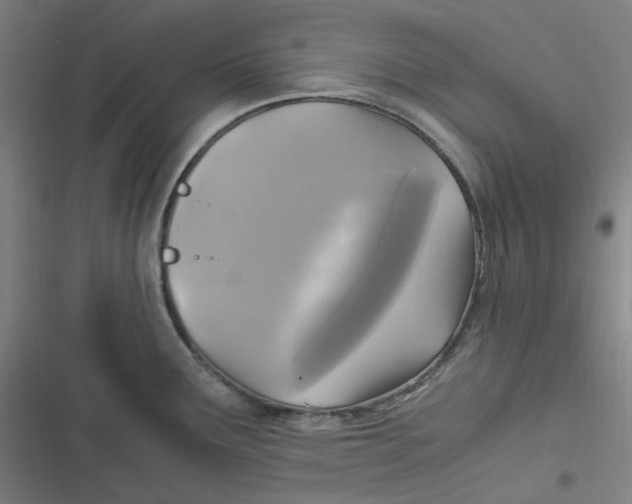 X0000116801291201001081326