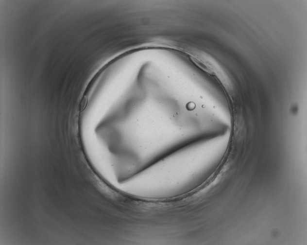 X0000116801292201001081326