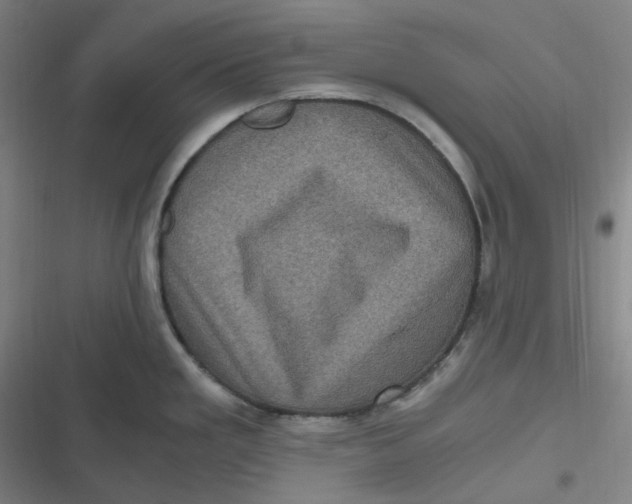 X0000116801293201001081326