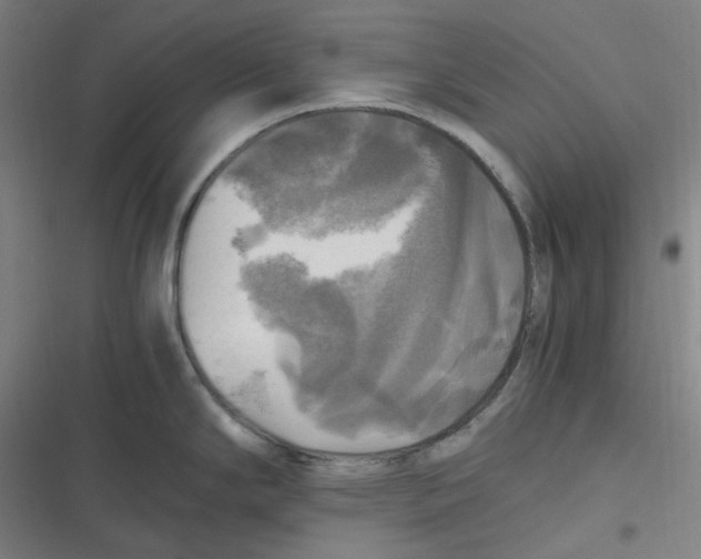 X0000116801294201001081326