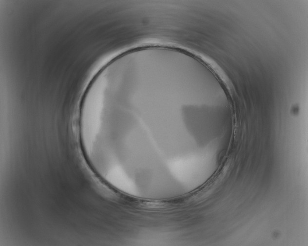 X0000116801295201001081326