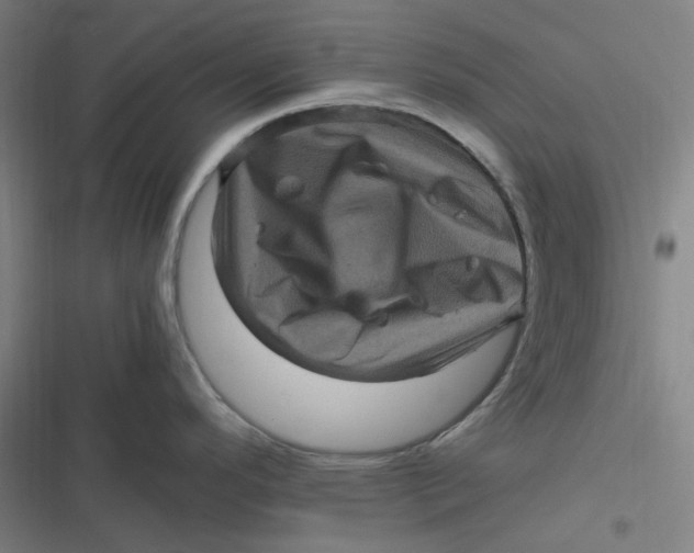 X0000116801296201001081326