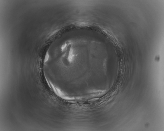 X0000116801301201001081326