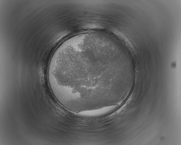 X0000116801305201001081326