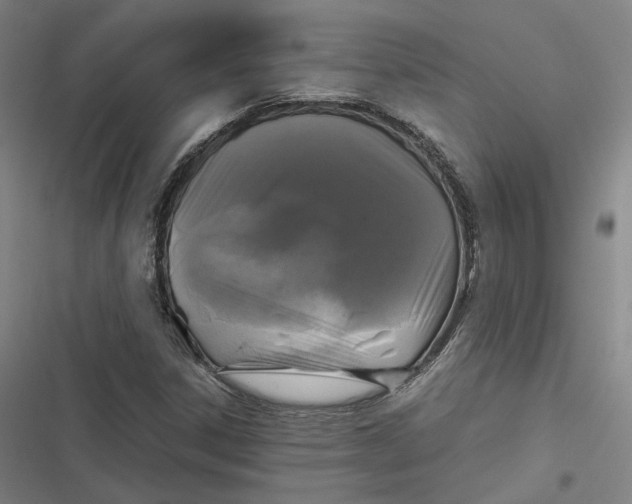 X0000116801306201001081326