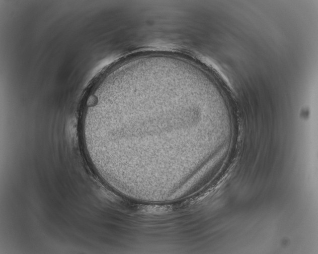 X0000116801307201001081326