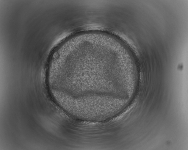 X0000116801309201001081326