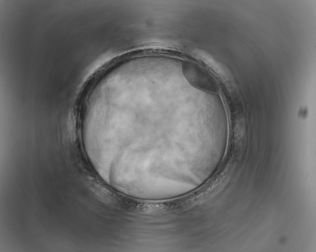 X0000116801310201001081326