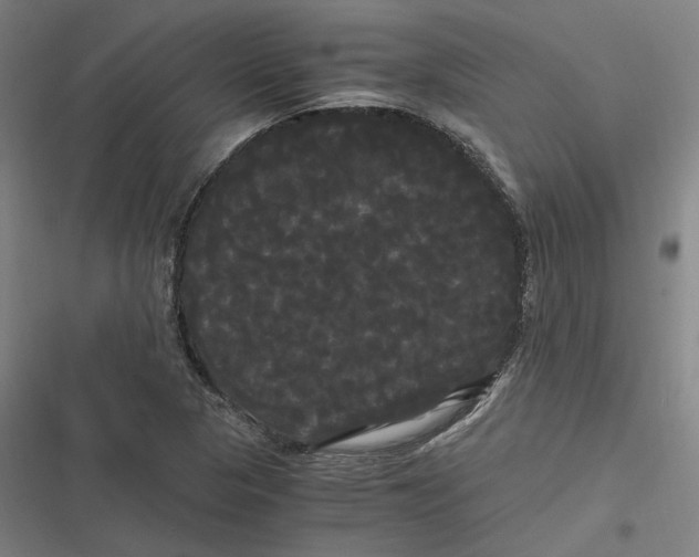 X0000116801313201001081326