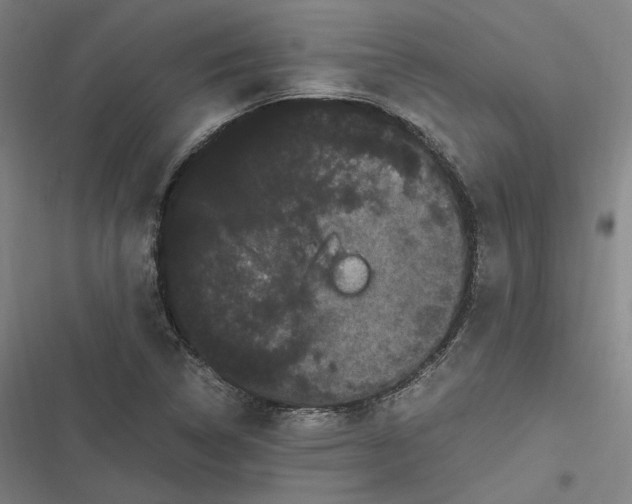 X0000116801314201001081326