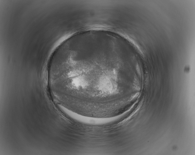 X0000116801317201001081326