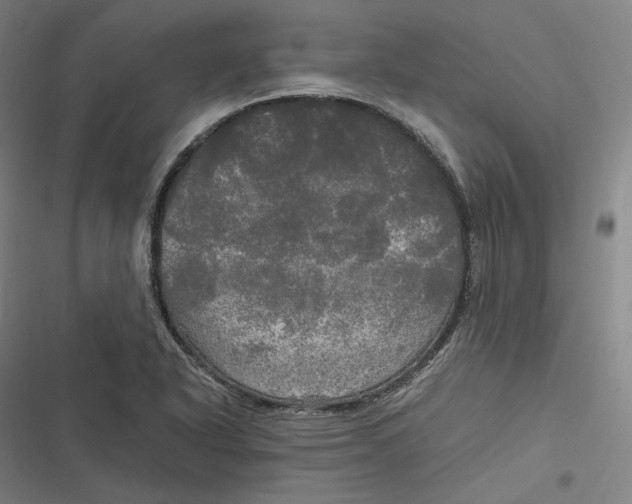 X0000116801318201001081326