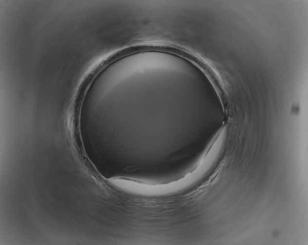 X0000116801319201001081326