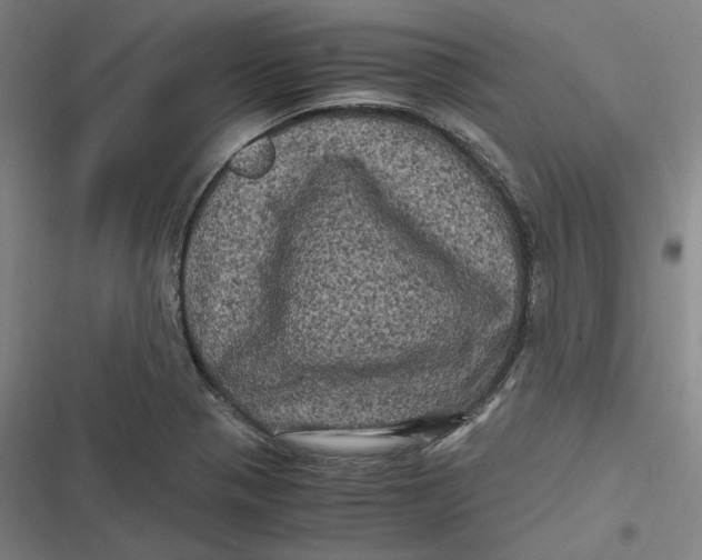 X0000116801321201001081326