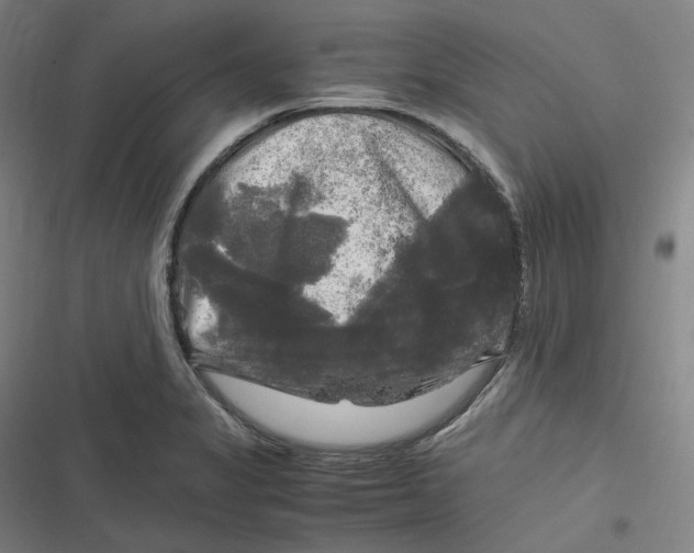 X0000116801325201001081326