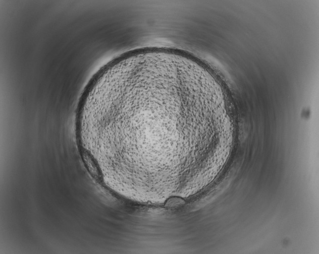 X0000116801326201001081326