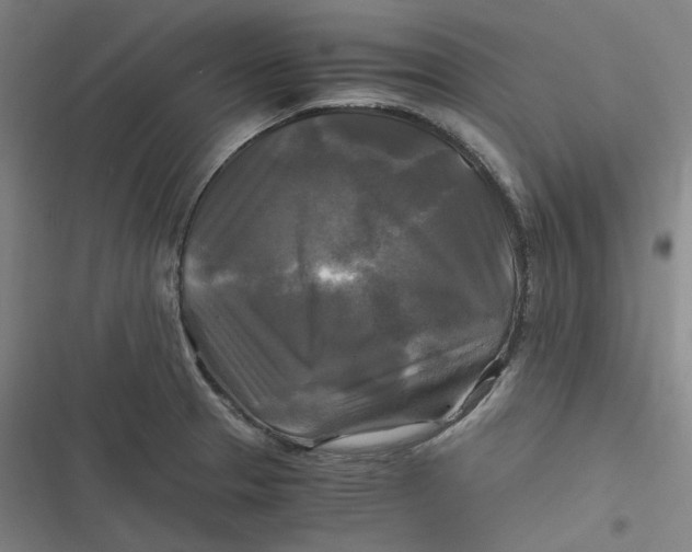 X0000116801329201001081326