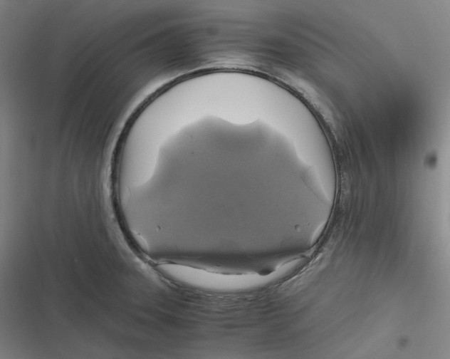 X0000116801331201001081326