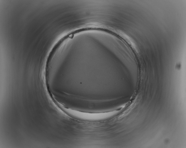 X0000116801334201001081326