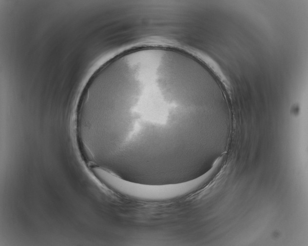 X0000116801335201001081326