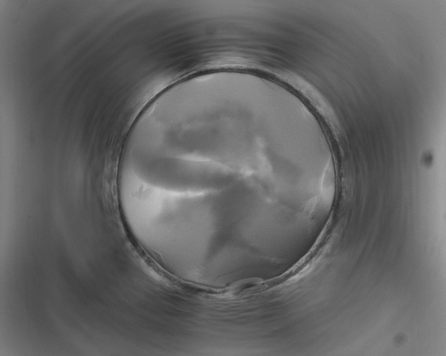 X0000116801337201001081326