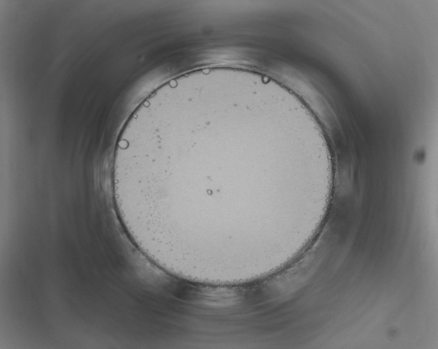 X0000116801338201001081326