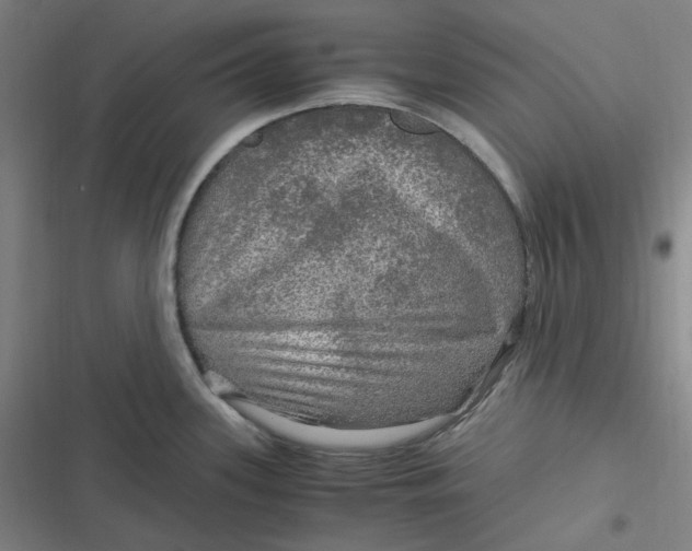 X0000116801339201001081326