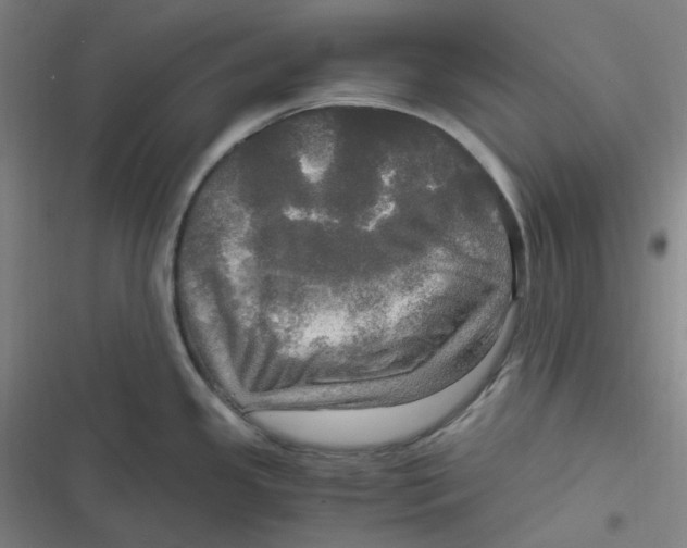 X0000116801341201001081326