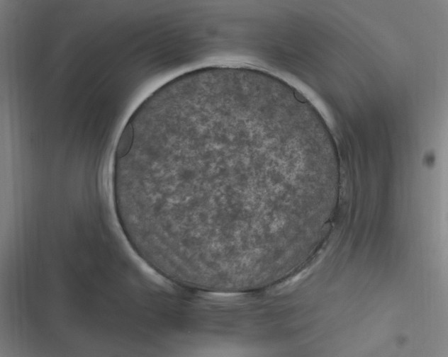 X0000116801343201001081326