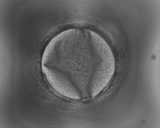 X0000116801349201001081326