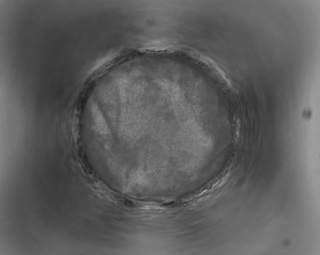 X0000116801350201001081326