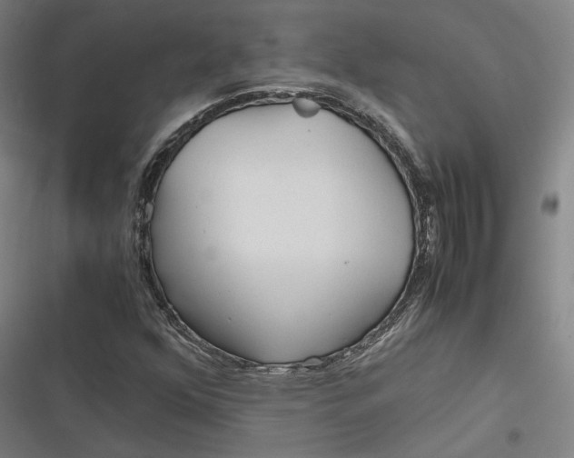 X0000116801352201001081326