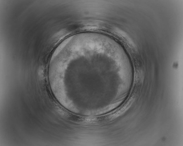 X0000116801353201001081326