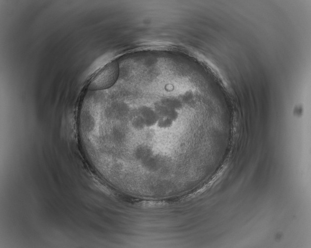 X0000116801354201001081326