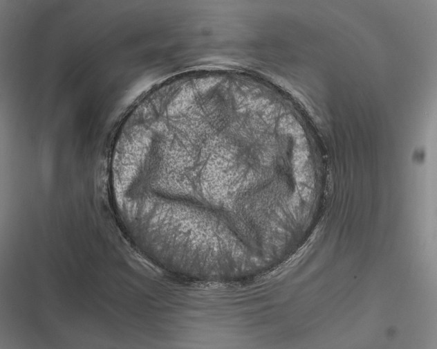 X0000116801355201001081326