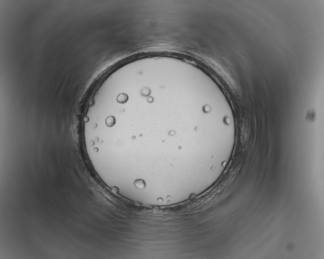 X0000116801356201001081326