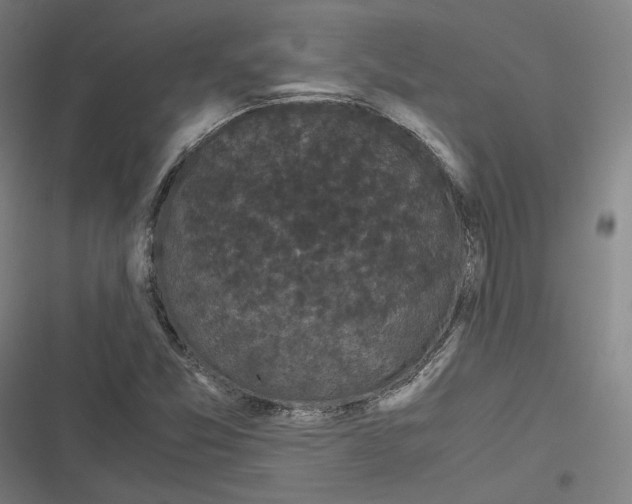 X0000116801357201001081326