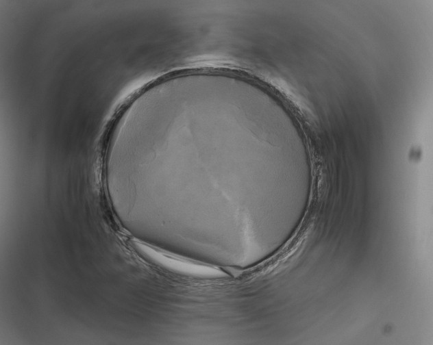 X0000116801358201001081326