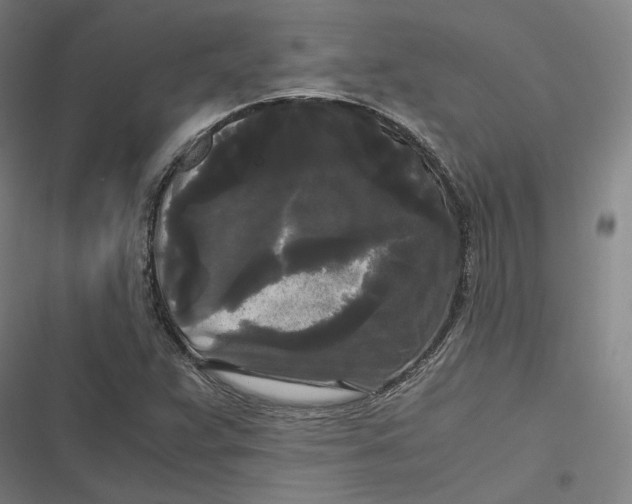 X0000116801359201001081326