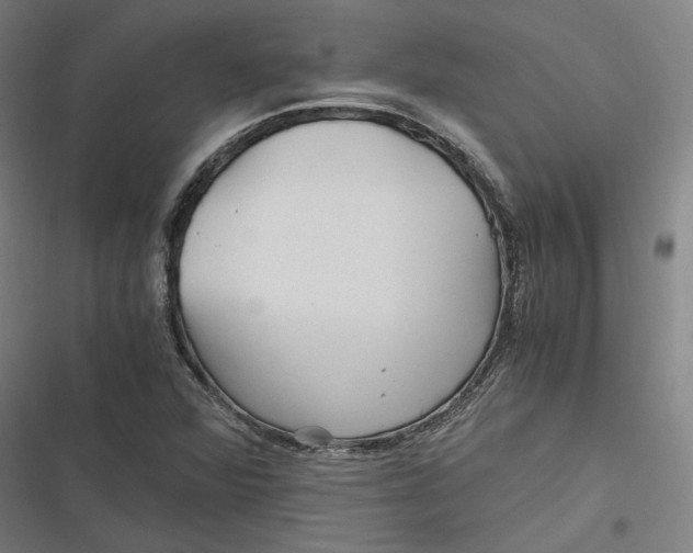 X0000116801360201001081326