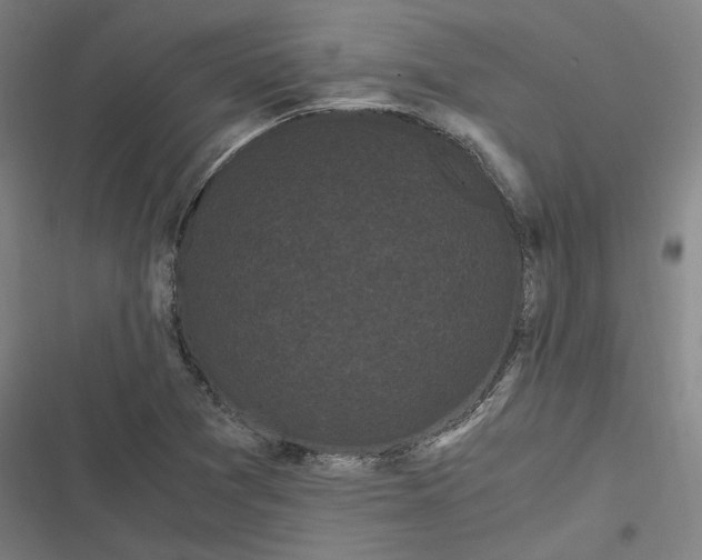 X0000116801361201001081326