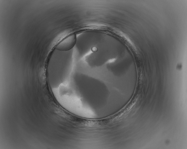 X0000116801362201001081326